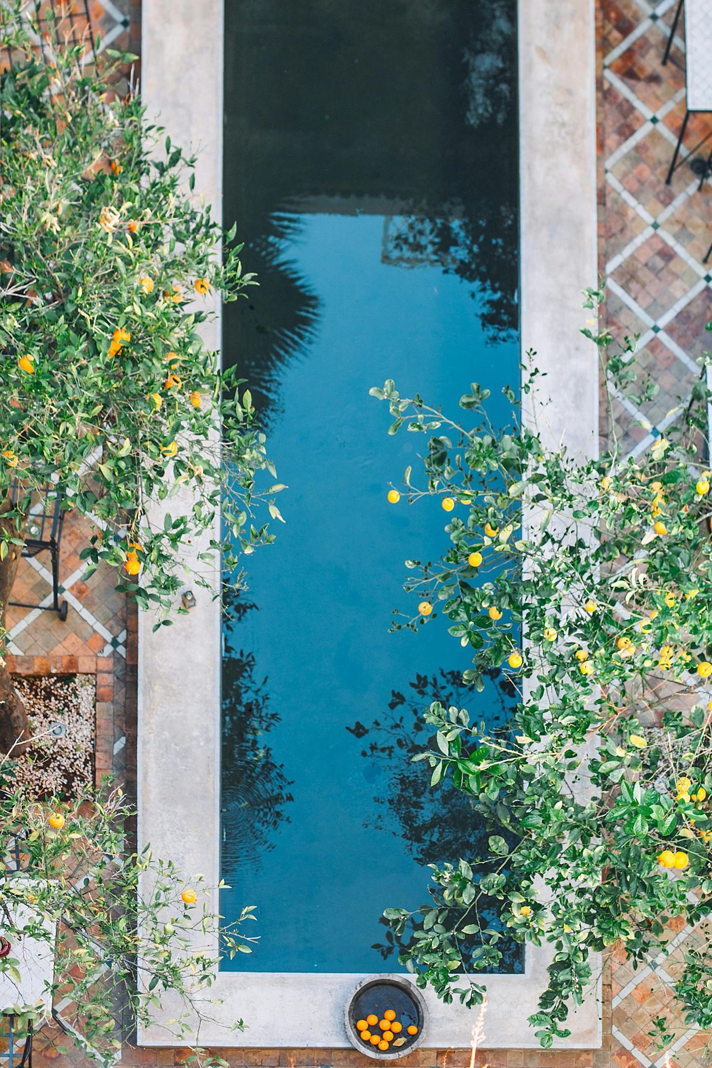 Pool surrounded by lemon trees