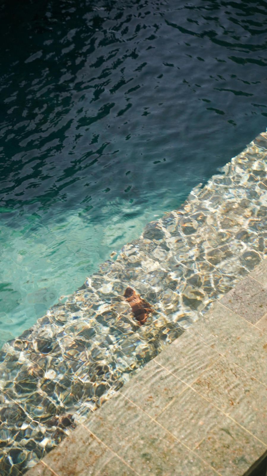 Clear water beside a stone pool edge
